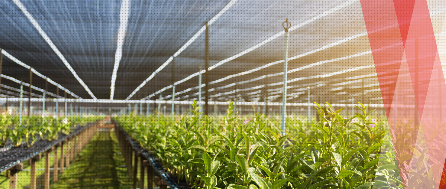 專業塑膠網品研究開發及製造｜三冠牌HunkunNET