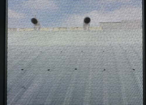 三冠牌SC黏著防塵紗窗網｜HunkunNET 煥坤