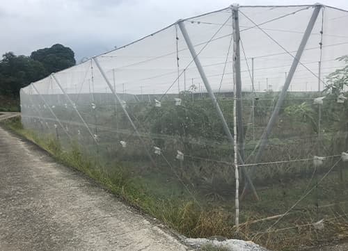 三冠牌WA 平織防蟲網應用實例(1)｜HunkunNET 煥坤