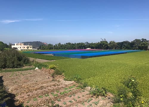 三冠牌WA 平織防蟲網應用實例(5)｜HunkunNET 煥坤