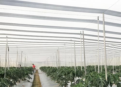 三冠牌RH灰白針織機能網應用實例｜HunkunNET 煥坤