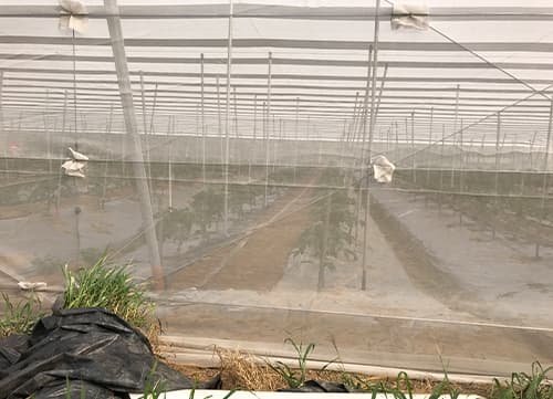 三冠牌RR9490黑白針織防果蠅網應用實例(1)｜HunkunNET 煥坤