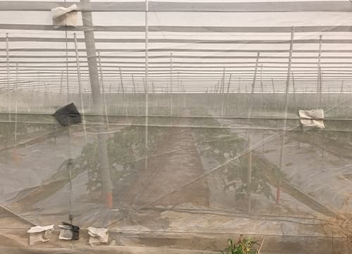 三冠牌RR9490黑白針織防果蠅網應用實例(2)｜HunkunNET 煥坤