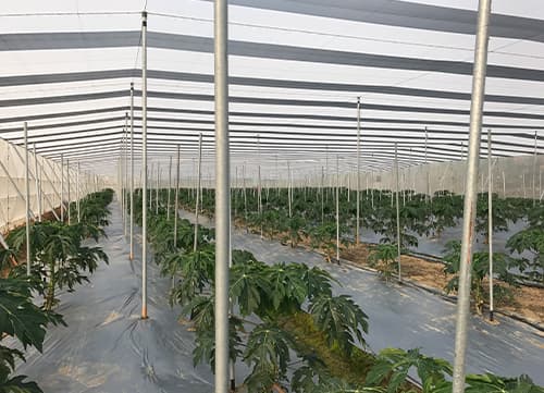 三冠牌RR9490黑白針織防果蠅網應用實例(7)｜HunkunNET 煥坤