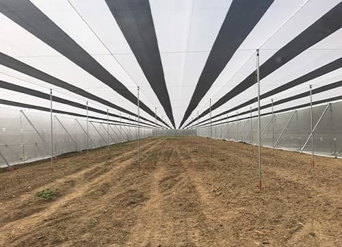 三冠牌RR9490黑白針織防果蠅網應用實例(13)｜HunkunNET 煥坤