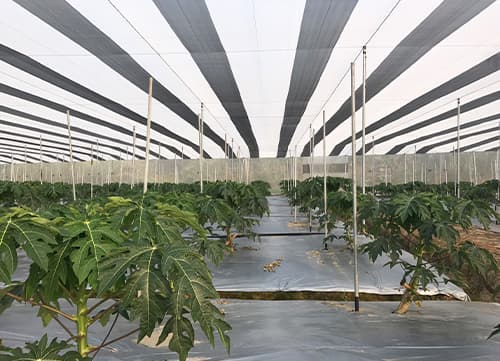 三冠牌RR9490黑白針織防果蠅網應用實例(15)｜HunkunNET 煥坤
