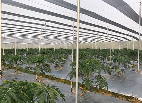 三冠牌RR9490黑白針織防果蠅網應用實例(16)｜HunkunNET 煥坤