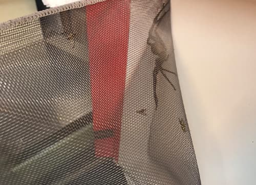 三冠牌SH除蟲菊酯紗窗網(1)|HunkunNET 煥坤