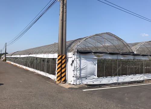 三冠牌RR針織菜園防蟲網應用實例｜HunkunNET 煥坤