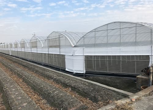 三冠牌羅紋織遮陽網應用實例(4)｜HunkunNET 煥坤