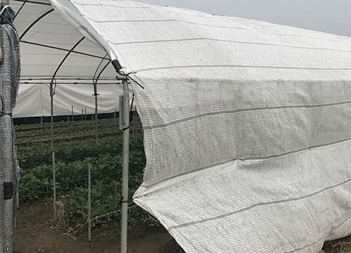 三冠牌羅紋織遮陽網應用實例(6)｜HunkunNET 煥坤