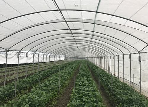 三冠牌羅紋織遮陽網應用實例(7)｜HunkunNET 煥坤